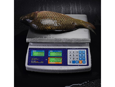 Весы торговые M-ER 329 AС-15.2 IP67 «Fisher» LCD, влагозащищенные