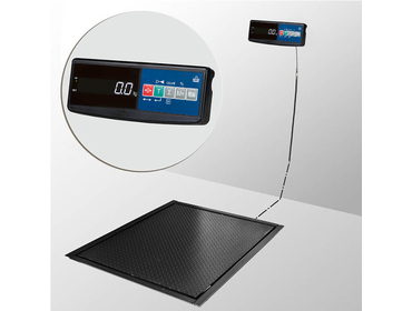Весы платформенные врезные Масса-К 4D-PMF-20/15-1000-A
