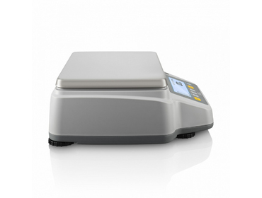 Лабораторные весы BEL RBG32001
